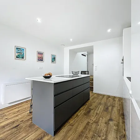 Appartement Cosy & Moderne T2 Avec Jardin Parking Brest