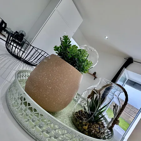 Cosy & Moderne T2 Avec Jardin Parking Appartement Brest